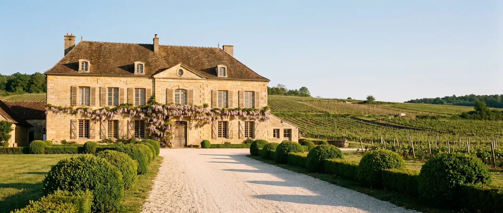 Maison bourguignonne en pierre dorée au cœur des vignes de la Côte des Vins