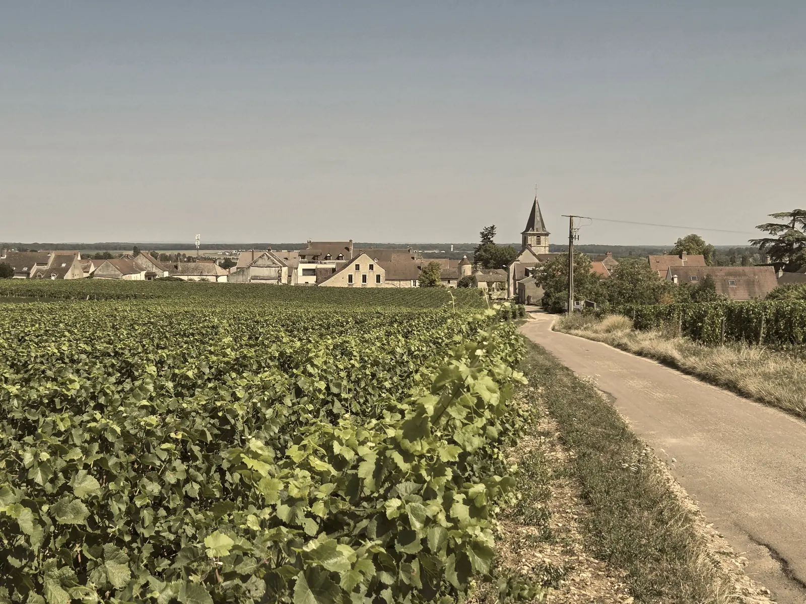 Villages viticoles, Côte de Nuits